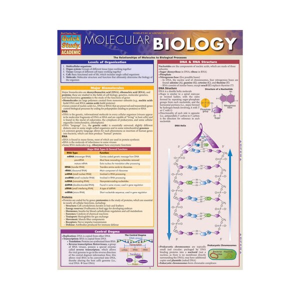 Molecular Biology - Quick Study Guide