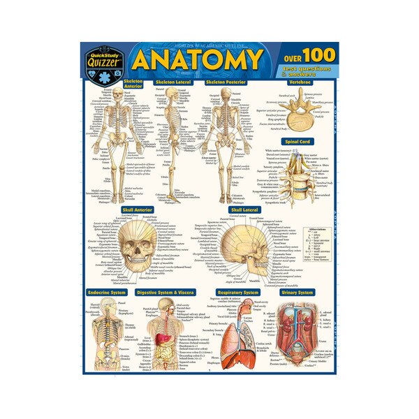Anatomy Quizzer - Quick Study Guide